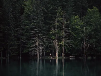 나무로-둘러싸인-큰-수역