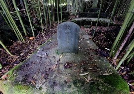 이미지가 없습니다.